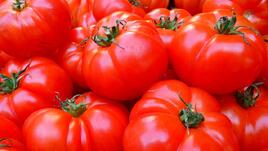 Забравете за хладилника! Как да съхраняваме доматите, за да запазим вкуса им?
