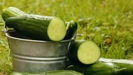 Какво ще се случи с тялото ни, ако ядем краставици всеки ден Какво ще се случи с тялото ни, ако ядем краставици всеки ден