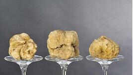 Някои от най-скъпите храни в света
 Някои от най-скъпите храни в света