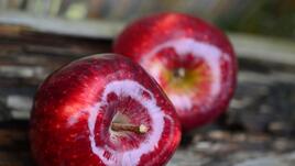 Какво означават стикерите върху ябълките
