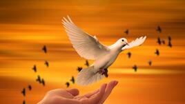 Признаци, че душата на починал ваш близък е край вас в този момент
