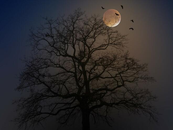 Пълнолуние в Близнаци тази нощ: Какво да очаква всяка зодия?