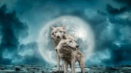Вълча луна в Рак на 3 януари: Как ще повлияе върху всяка зодия?