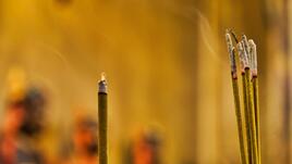 Тези ухания привличат пари в дома