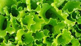 Пролетните салати: Идеалното почистване