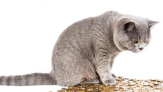 Финансов хороскоп за всички зодии през април