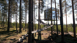 Релакс зона на седмицата: Treehotel