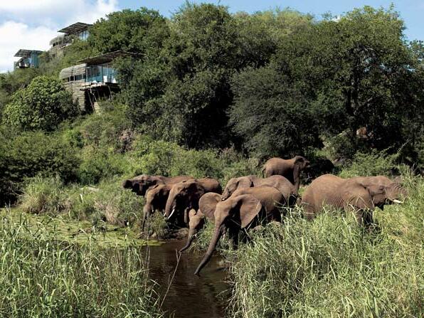 Релакс зона на седмицата: Singita Lebombo Lodge 