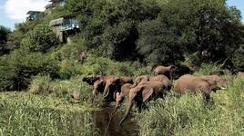 Релакс зона на седмицата: Singita Lebombo Lodge 