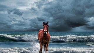 Тези 5 зодиакални знака ще яздят Червения огнен кон през 2026-а