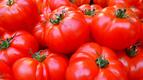 Забравете за хладилника! Как да съхраняваме доматите, за да запазим вкуса им?
