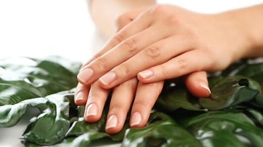 Ноктите издават енергийни, емоционални и житейски процеси