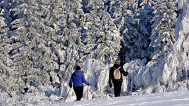 Как да останем във форма и здрави през студените месеци