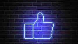 Palms Bet: бонуси, промоции и как да ги използвате умно