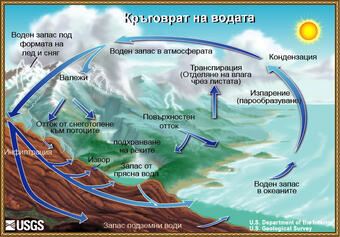 Благодарение на чудото, наречено воден кръговрат, известен процент от течностите, които ви...